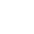 grey tick